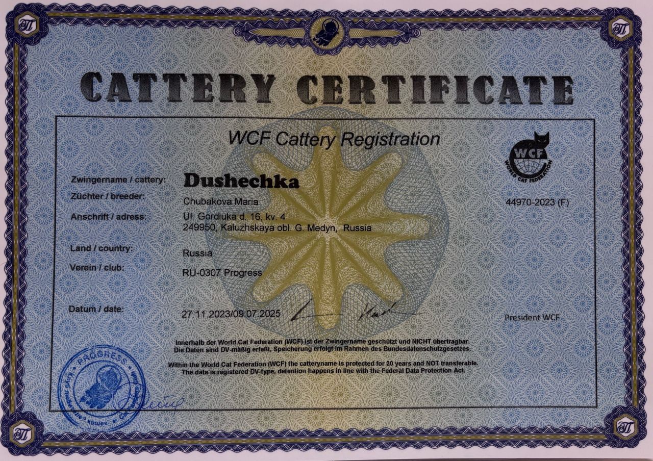Сертификат питомника WCF