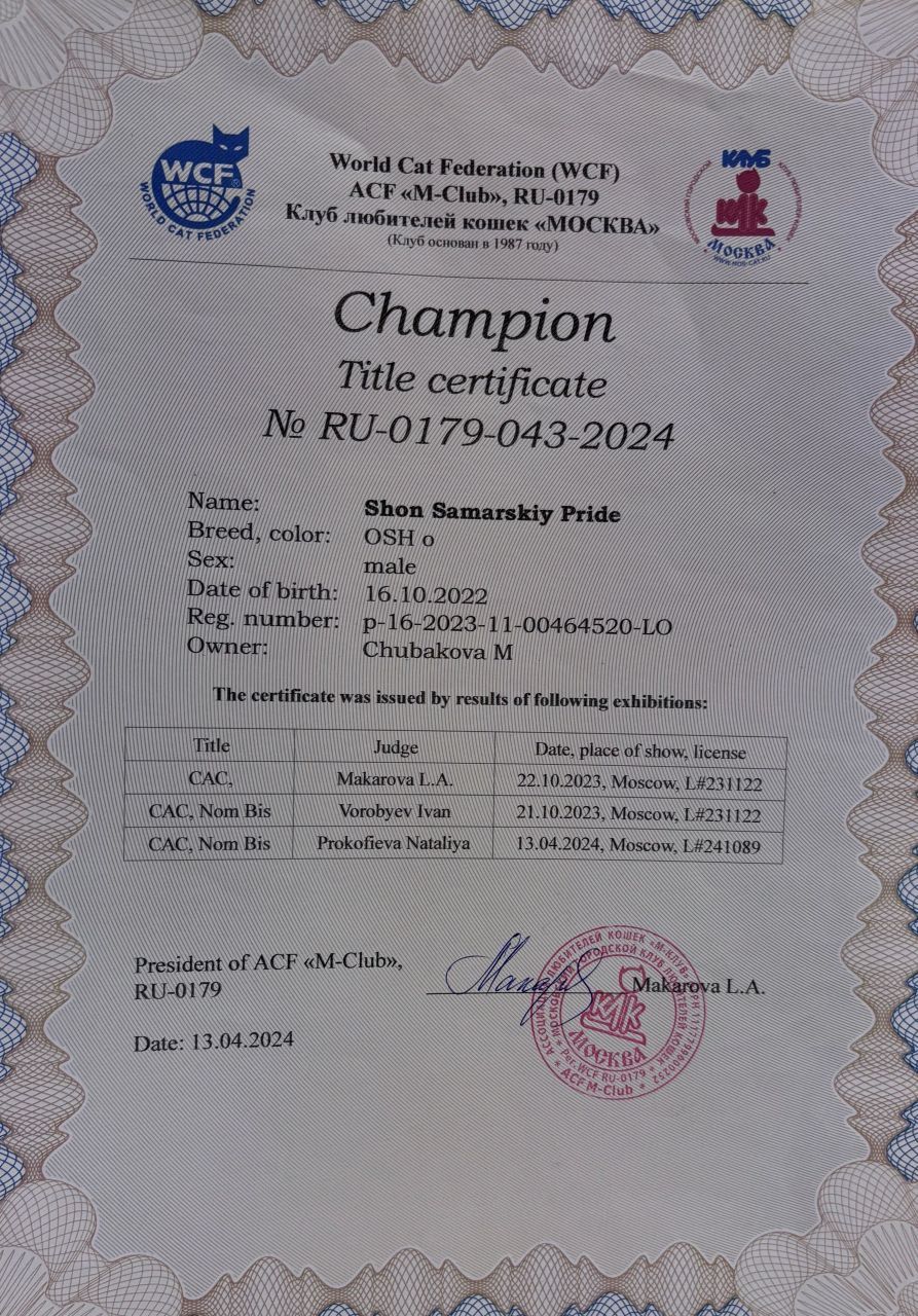 Чемпионский титул Шона